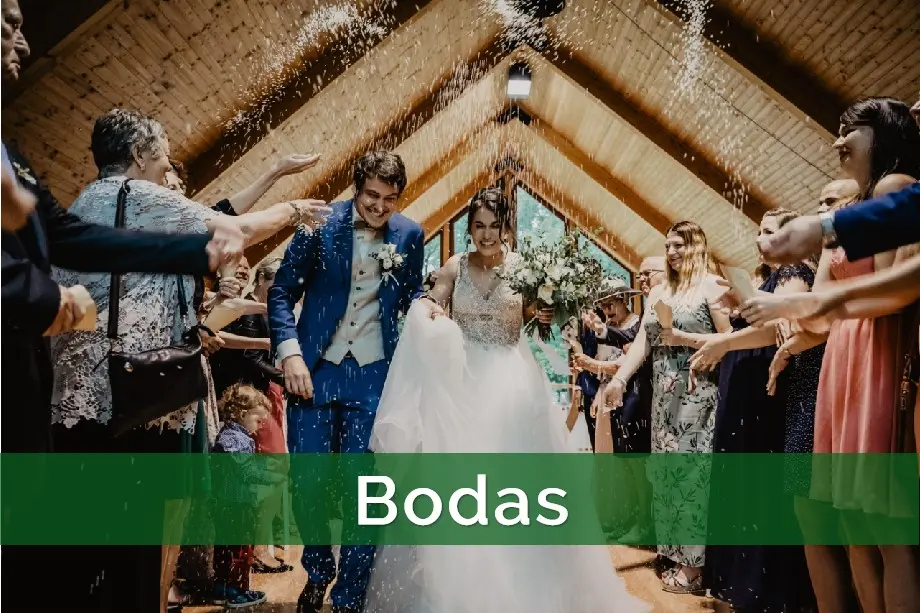 Bodas